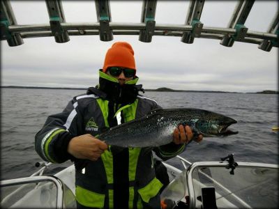 Markus Häyrynen ja Saimaan järvilohi 70cm. (vapautettu kuvauksen jälkeen)